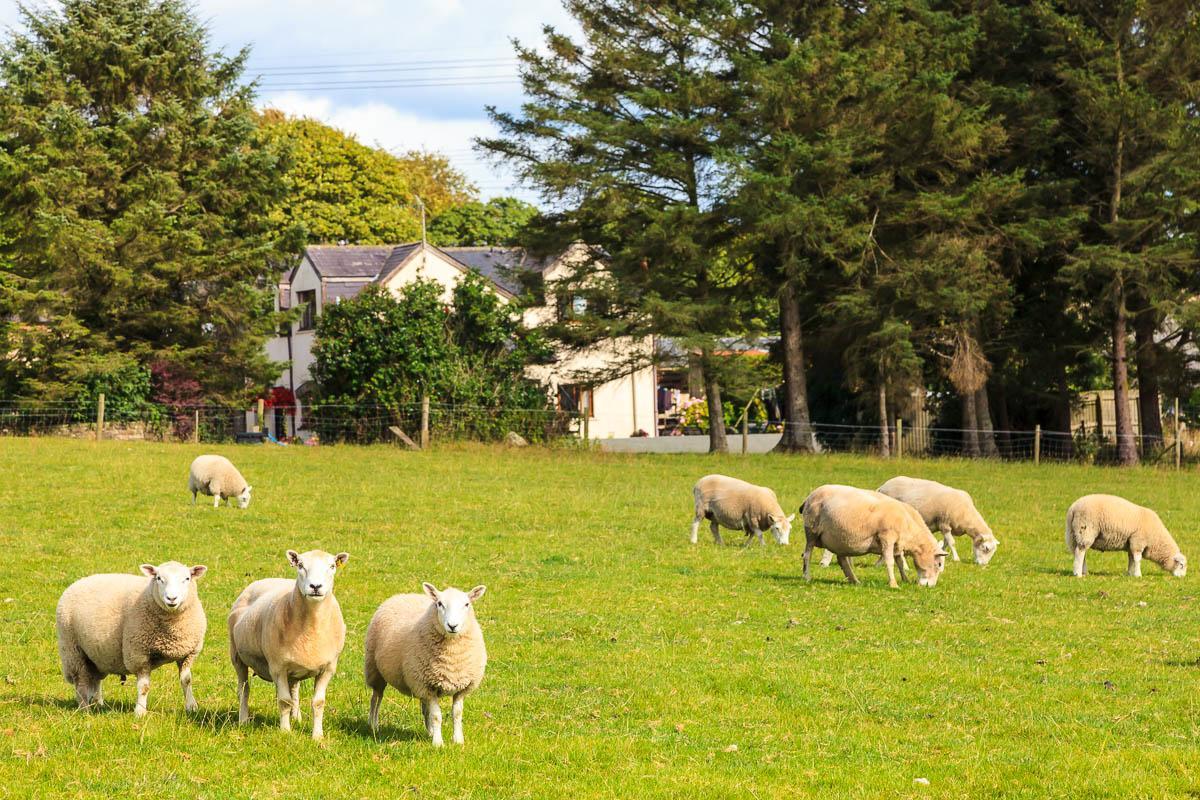 Langdon Farm Guest House Kilgetty エクステリア 写真