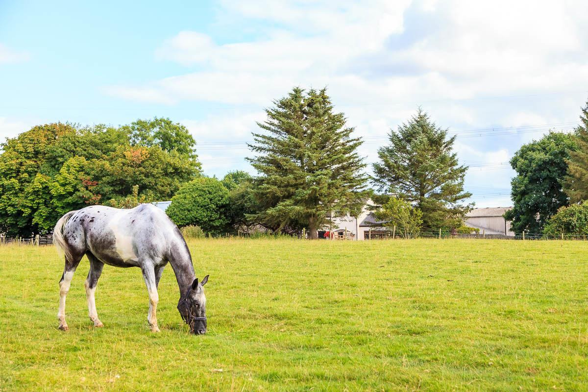 Langdon Farm Guest House Kilgetty エクステリア 写真